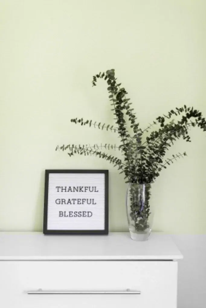 Letter board reading “Thankful Grateful Blessed” beside a vase of greenery