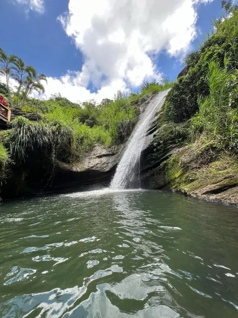 Waterfall flowing into a pool surrounded by tropical greenery