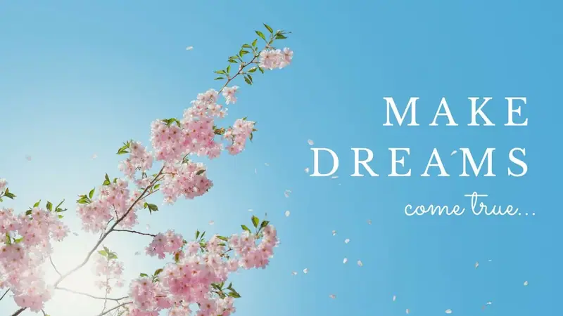 makedreams