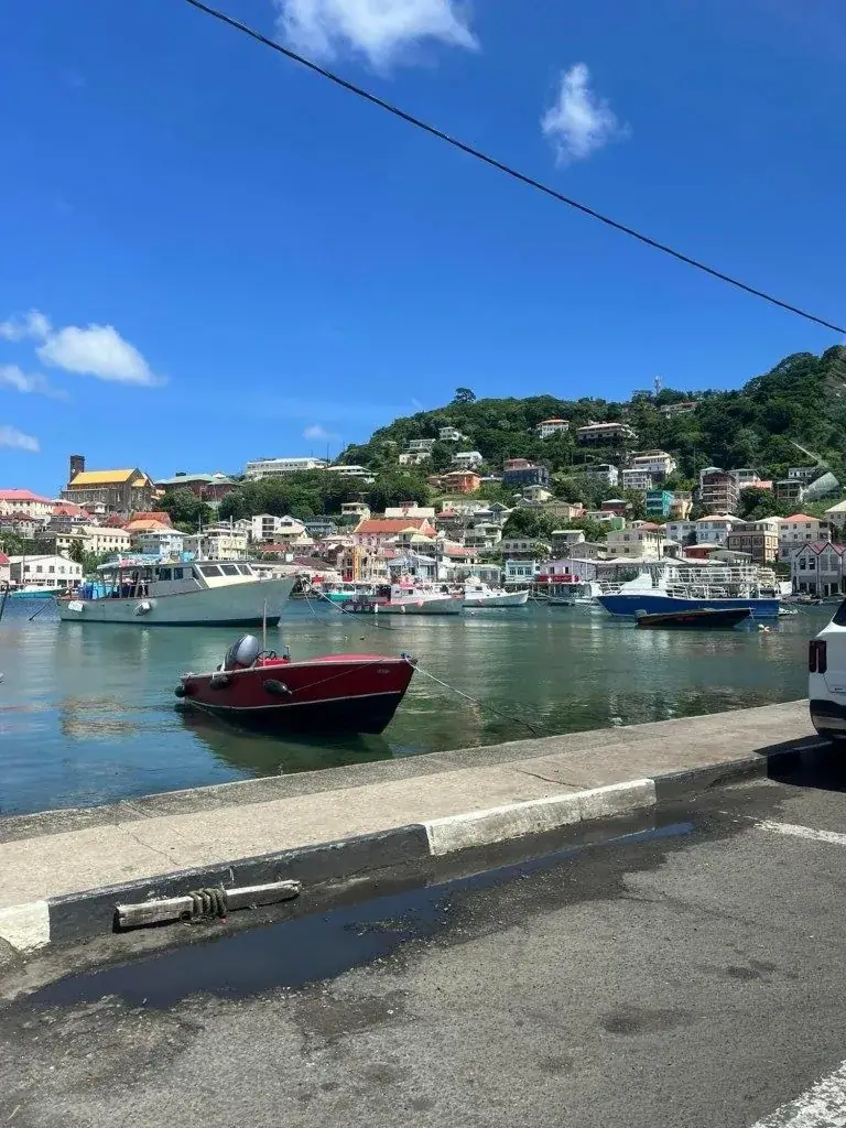 Boats in a harbor below colorful hillside homes in Grenada