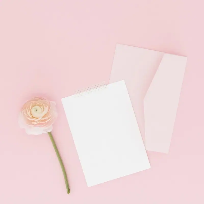 Blank white cards and a pale pink flower on a pink background