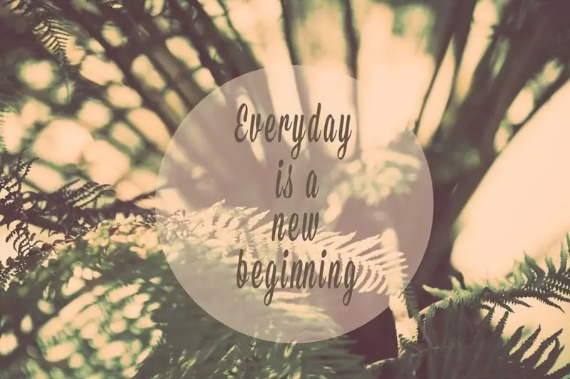 Fern graphic reading “Everyday is a new beginning”