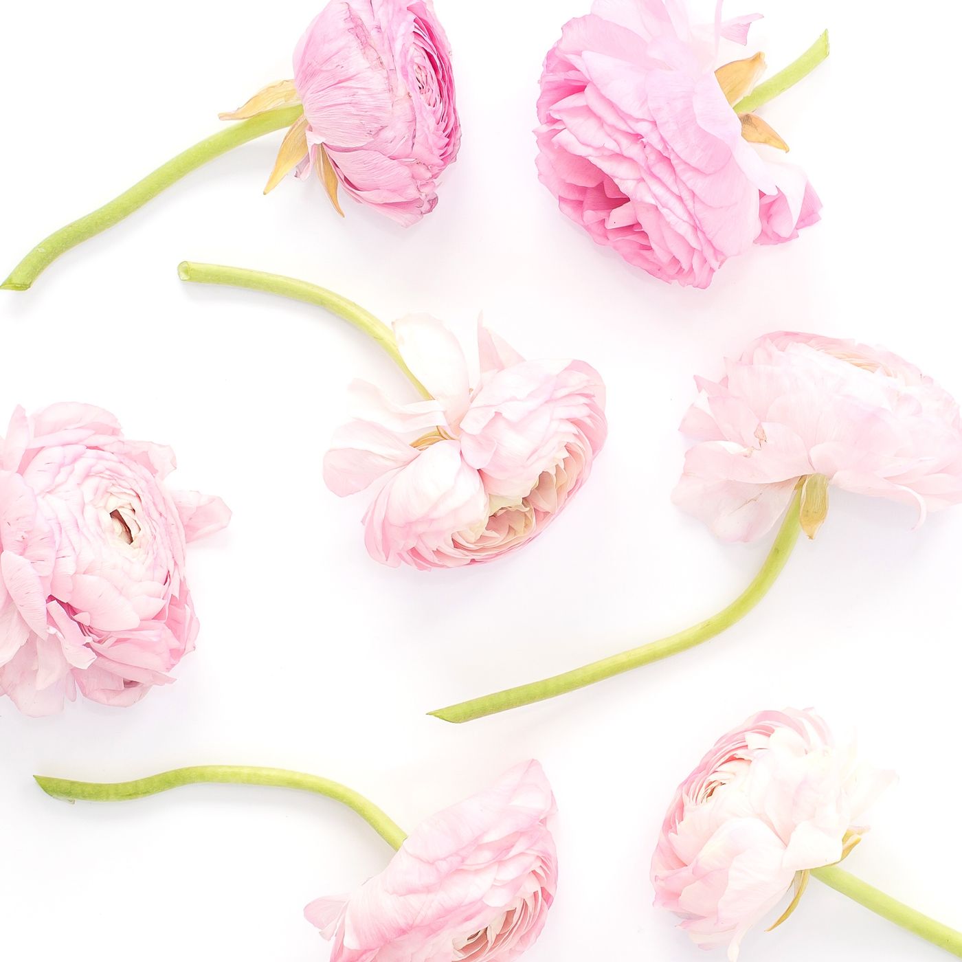 Featured image for “I Discover New Strengths Each Day”