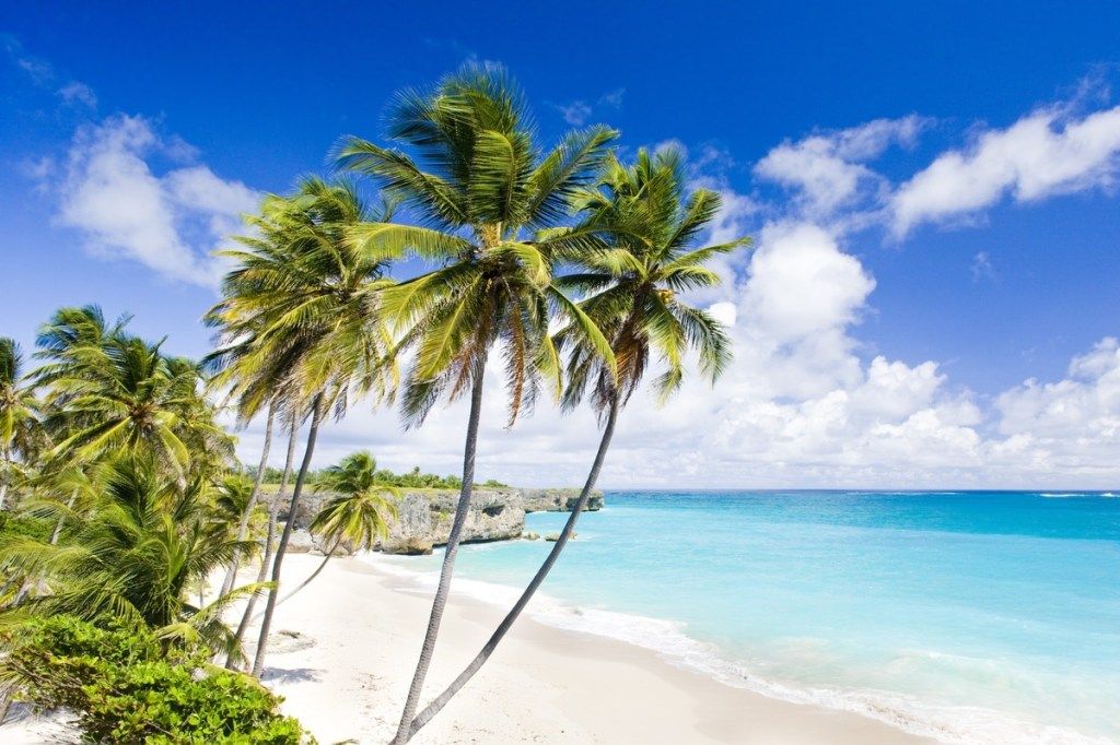 Palm trees beside a white-sand beach and turquoise water