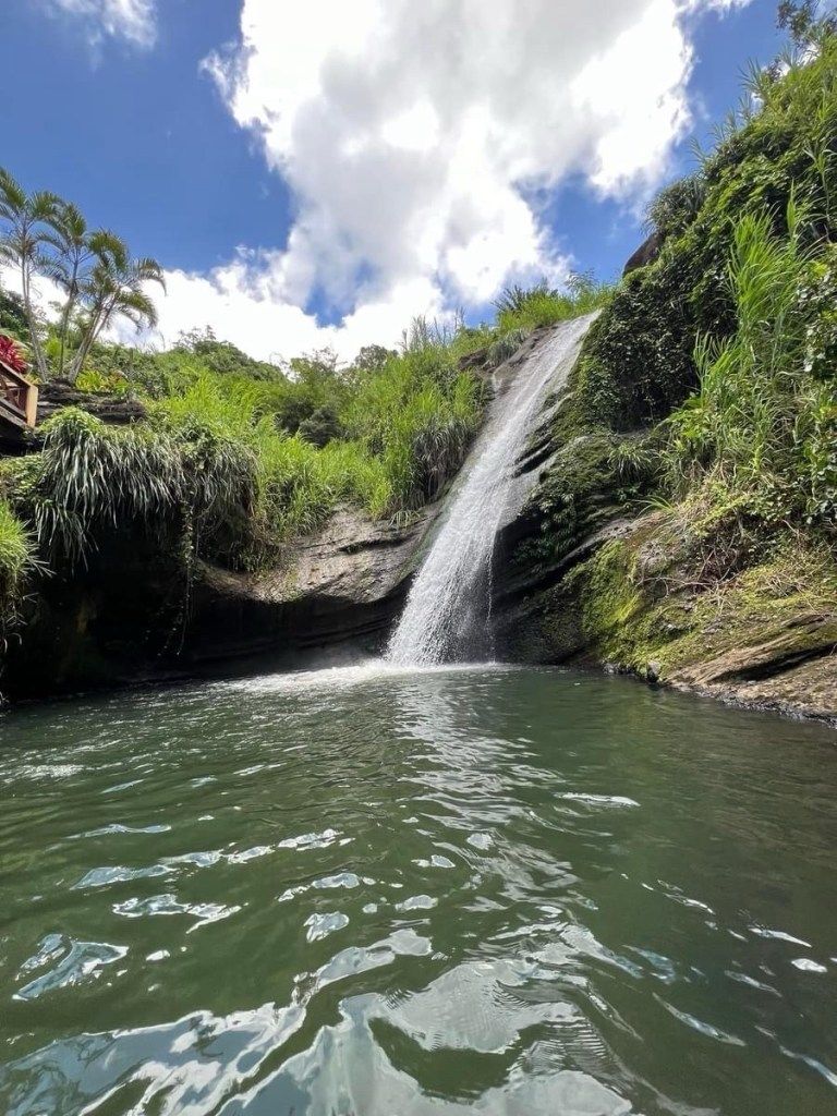 Waterfall flowing into a pool surrounded by tropical greenery
