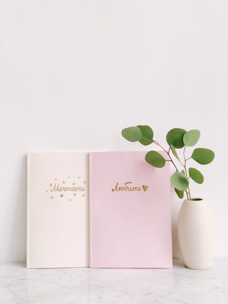 Two pastel journals beside a small leafy plant