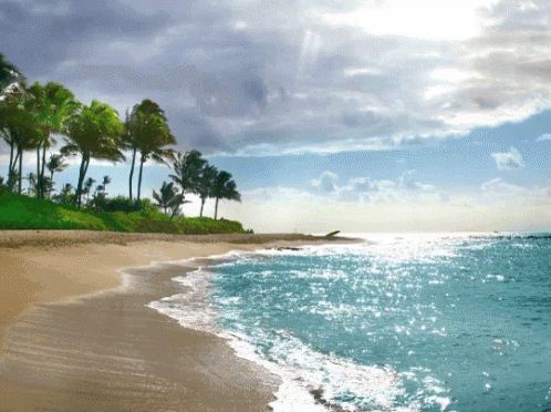 Waves rolling onto a tropical sandy beach