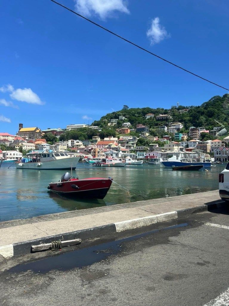 Boats in a harbor below colorful hillside homes in Grenada