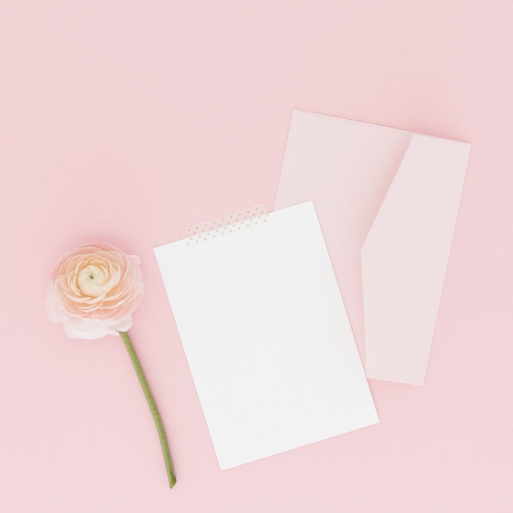 Blank white cards and a pale pink flower on a pink background